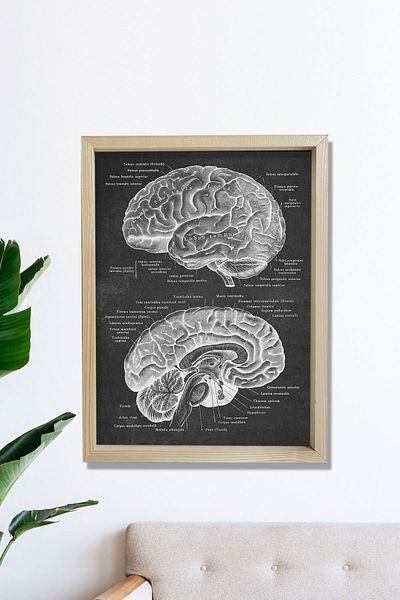 Dekor Loft Pictură murală pentru camera medicului
