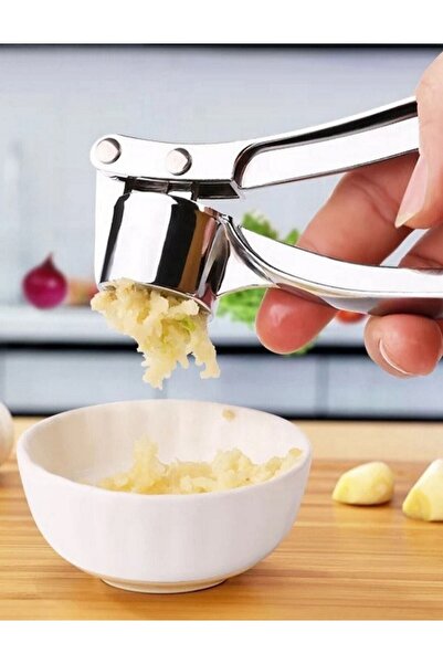 Pembelia Life Steel Garlic Crusher And Ice Cream Cookie Serving Spoon