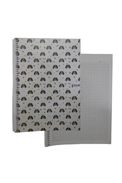 Studi Kareli 72 Yaprak Spiralli Defter A4 Boy Desenli Plastik Kapak 1 Adet St...