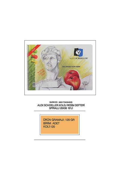 Alex Caiet de pictură Spr 25*35 120gr 15 Li