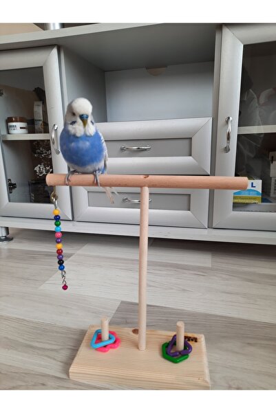 SAKAPET Wooden Parrot Perch with Extra Mind Play - Budgie, Paradise, Forpus, Sevda Papaganı