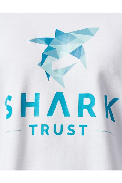 PAUL&SHARK Men's Knitted Round Neck C.wCotton