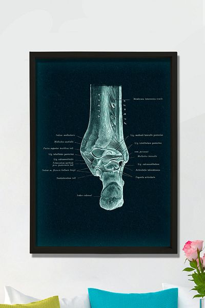 Dekor Loft Tablou medical Tablou de perete pentru camera medicului