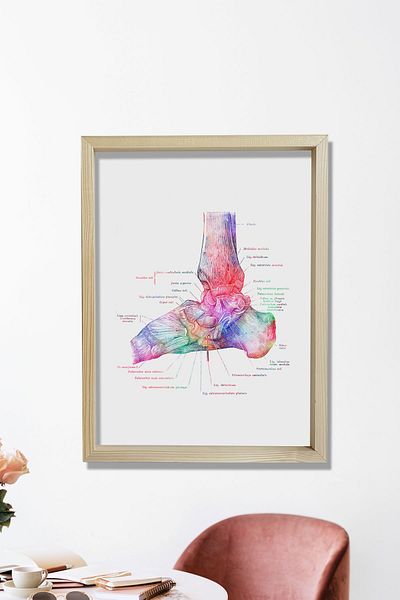 Dekor Loft Tablou medical Tablou de perete pentru camera medicului