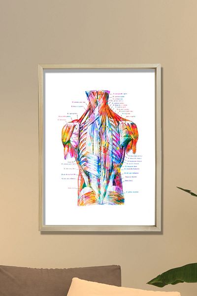 Dekor Loft Tablou medical Tablou de perete pentru camera medicului
