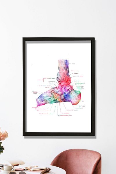 Dekor Loft Tablou medical Tablou de perete pentru camera medicului