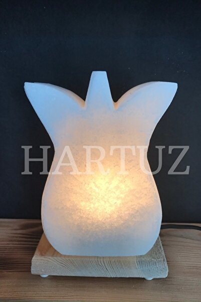 HARTUZ Lale Model Çankırı Kaya Tuzu Lambası 2-3 Kg