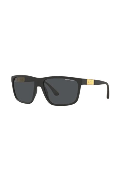Armani Exchange Güneş Gözlüğü 4121s 807887 59