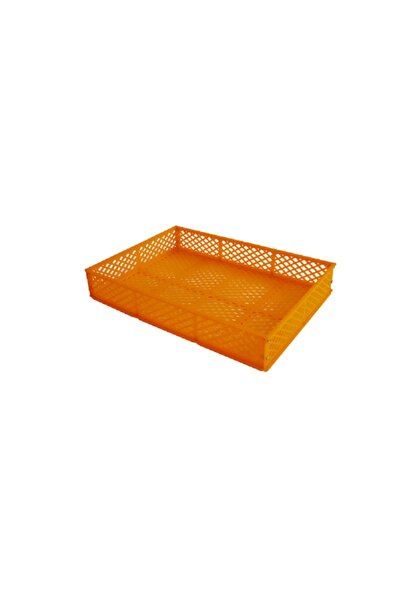 Efe Kuluçka Civciv Çıkım Sepeti