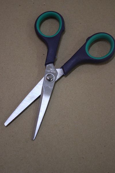 devhome Home and Office Scissors No. 5