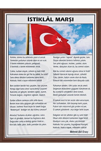 Panda Istiklal Anthem 50*70 - Framed Design