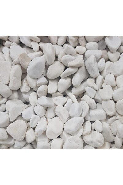 Asenya Dolomit Taş 20 kg 2-4 cm Dere Taşı Çakıl Taşı Bahçe Süs Taşı Dolamit Taş Dekoratif Taş