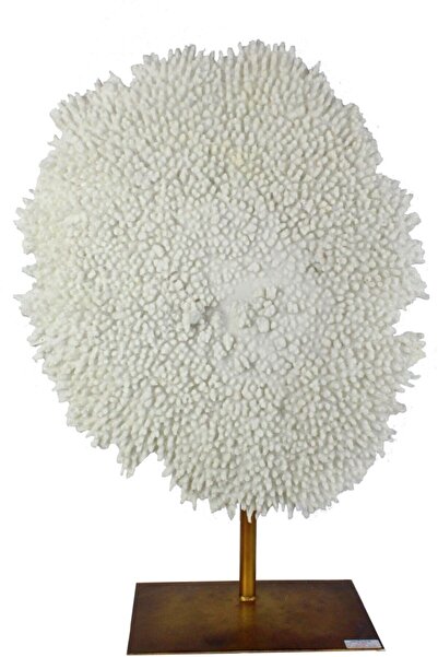 Yenkur Home Beyaz Mercan Dekoratif Obje