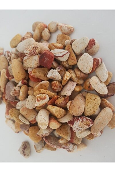 Asenya Sarı Çizgili Dolomit Taş 25kg 1-2cm Dere Taşı Çakıl Taşı Bahçe Süs Taş...