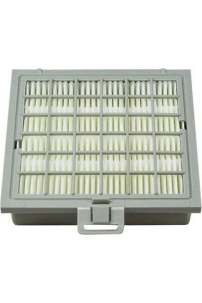 Bosch Ergomax Ergomaxx Bsg 82515 - Hepa Filter 80000 89999 Model