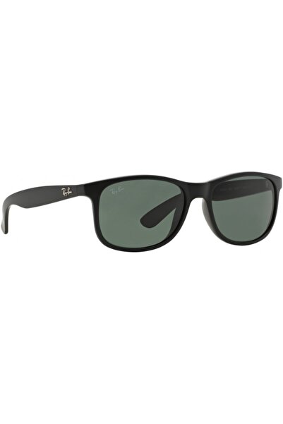 Ray-Ban Rb4202 55606971
