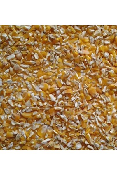 Asenya Kırık Mısır 1 Kg Tavuk Yemi Yemlik Mısır Kırması Kanatlı Yemi Kaz Örde...
