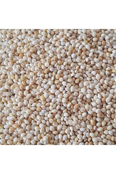 WODDY Muhabbet Kuşu Yemi Sade Ak Darı 2,5 kg