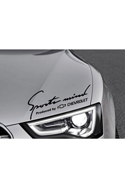 TSC Volvo S Mind Kaput Üzerinde Araba Sticker Yapıştırması