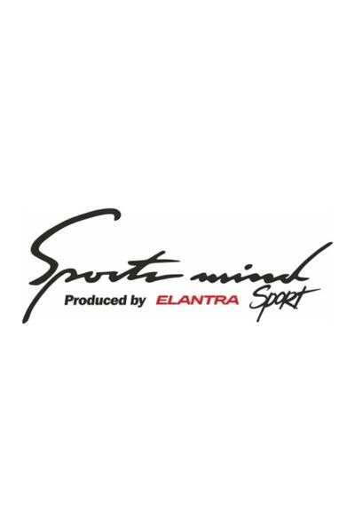 TSC Hyundai Elentra Sports Mind Auto Sticker Auto Pastă