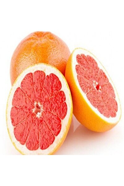 Genel Markalar Tüplü Fidan Greyfurt Fidanı