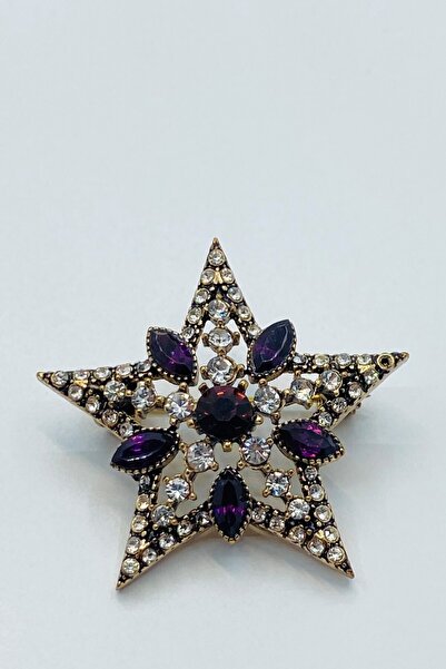 Esra Pamir Elmas Montür Mor Taşlı Yıldız Broş
