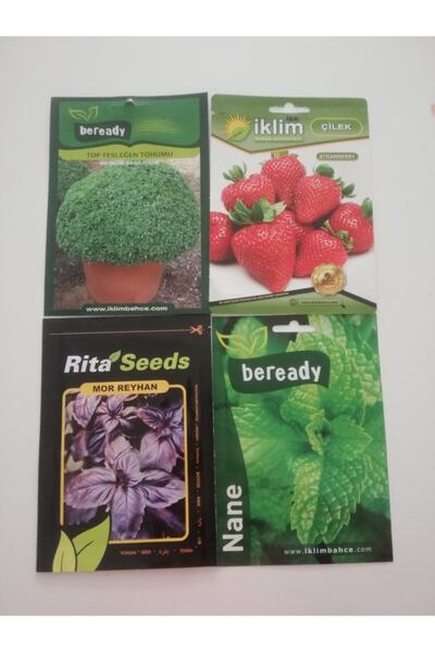 İBK İklim Bahçe Bahçe Seti Tohumları Çilek - Nane - Mor Reyhan - Top Reyhan