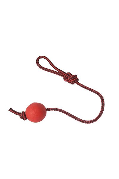 Mixpet Red Dog Dental Floss Bulk - 40cm