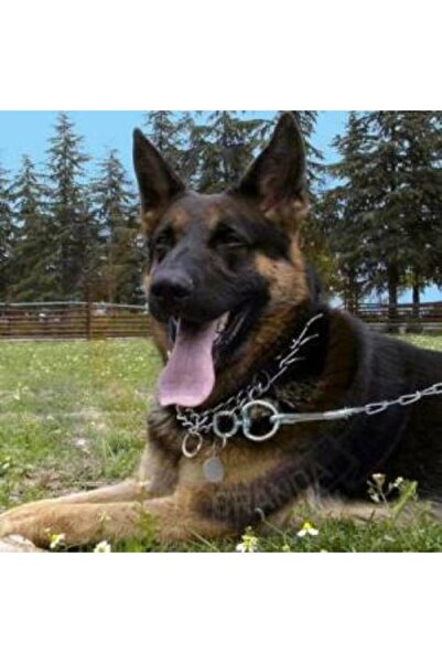 Gereksiz Şeyler Zincir Tasma Köpek Bağlama Zinciri Köpek Zinciri 4mm Cılbır Zincir 5 Adet 200cm