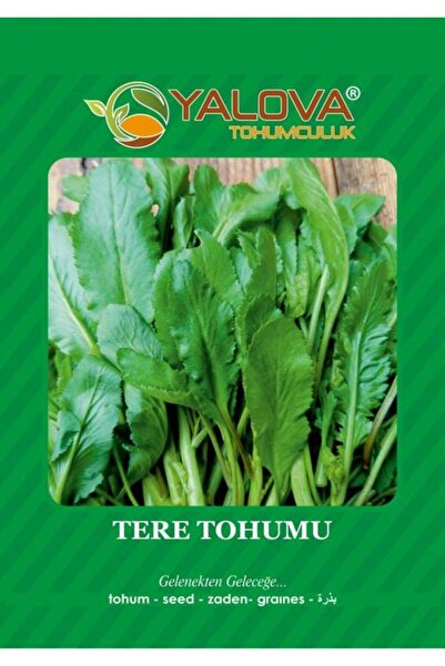 YALOVA TOHUMCULUK Tere Otu 10gr