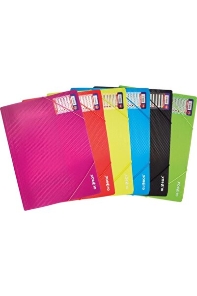 Globox A4 Plastik Lastikli Dosya Karışık Renk (6 Lı Paket) 6456