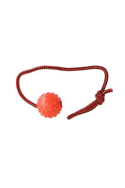 Mixpet Dog Tooth Floss Bulk 45 cm