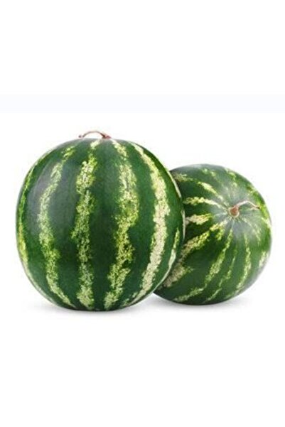 Akdeniz Yenı Mahsül Yerlı Adana Karpuz 5&7 Kilo