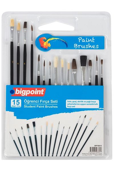 Bigpoint 15-Piece Student Brush Set - BPFS915