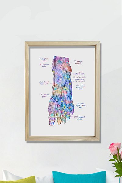 Dekor Loft Ιατρικός Πίνακας Καλλιτεχνικός Πίνακας Τοίχου Δωματίου Γιατρού
