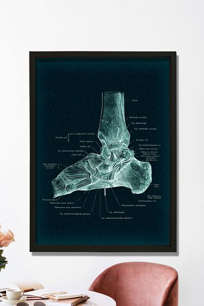 Dekor Loft Tablou medical Tablou de perete pentru camera medicului