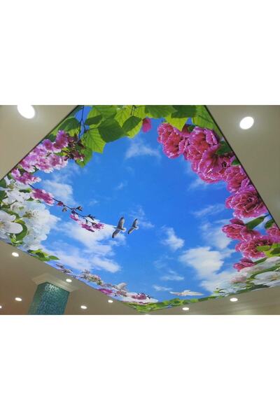 Miray Dekorasyon Miray Gergi Tavan