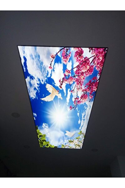 Miray Dekorasyon Miray Gergi Tavan