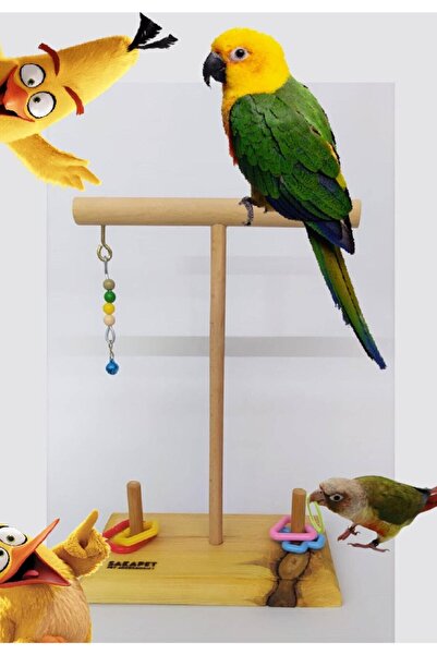 SAKAPET Wooden Parrot Perch with Extra Mind Play - Budgie, Paradise, Forpus, Sevda Papaganı