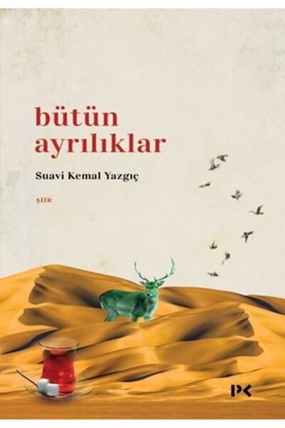 Profil Kitap Bütün Ayrılıklar - Suavi Kemal Yazgıç