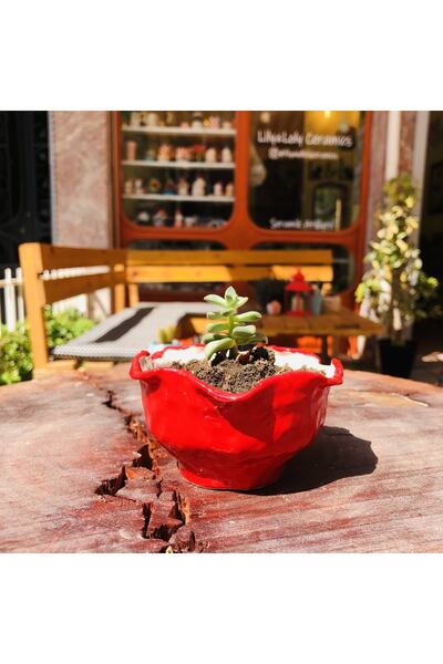 Lily Serisi "red Flower" Kırmızı Gül El Yapımı Seramik Saksı 5*8*8cm