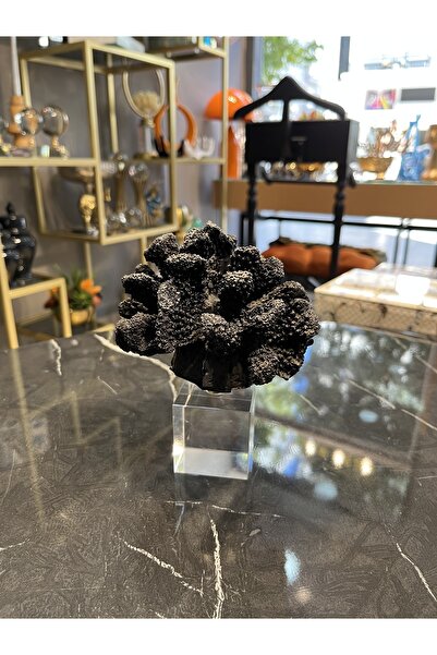 dekorbia Dekoratif Siyah Mercan