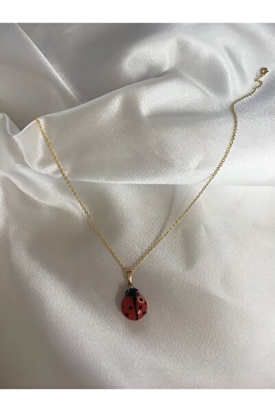 nazarboncuğu Nazar Boncuklu Uğur Böceği Kolye