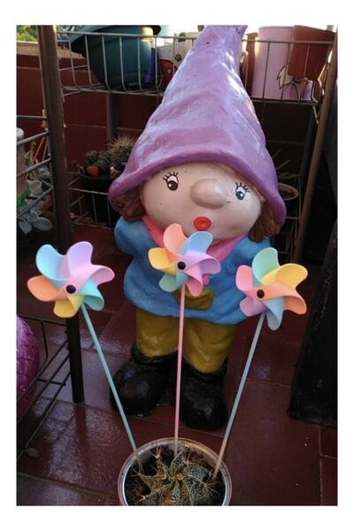 Gardenia Art Hobi Rüzgar Gülü Saksı Süsleri 3 Adet Pastel Renkler