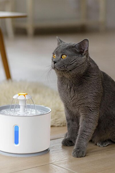 TechnoSmart Kedi Köpek Su Çeşmesi Su Pınarı Kabı Led Işık Göstergeli
