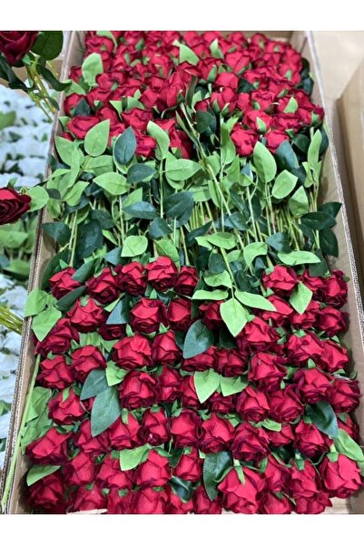 S.D JoyPartyStore Tekli Kadife Kırmızı Gül