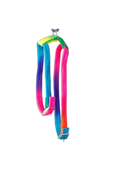Eastland Phosphorescent Chest Collar