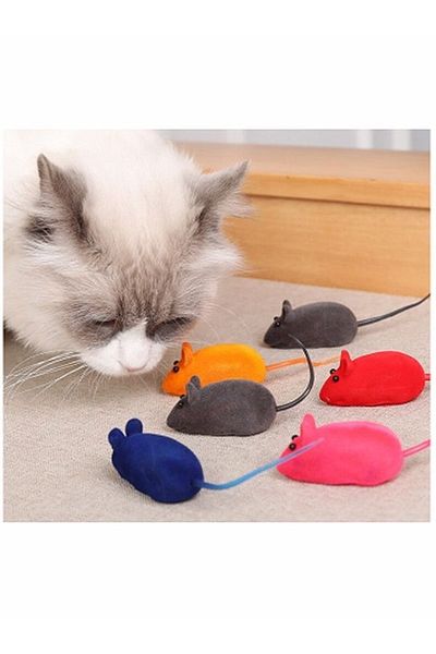 TUĞRA PET MARKET Cat Training Toy Mouse Toy 2 Pack