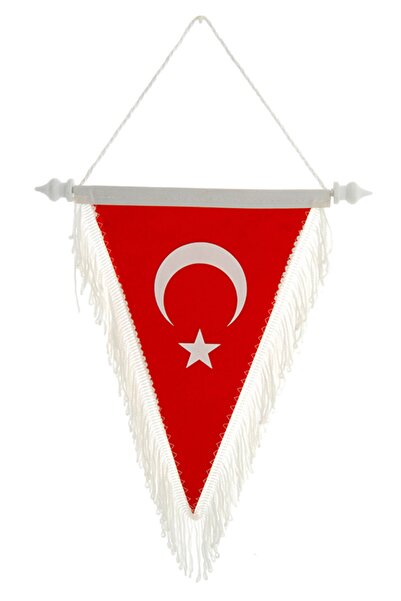Shopiolog Türk Bayrağı Üçgen Flama 20x30 Cm