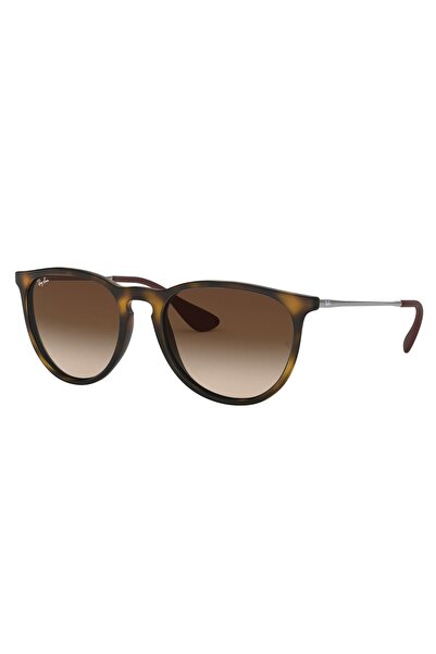 Ray-Ban Güneş Gözlüğü Rb4171 865/13